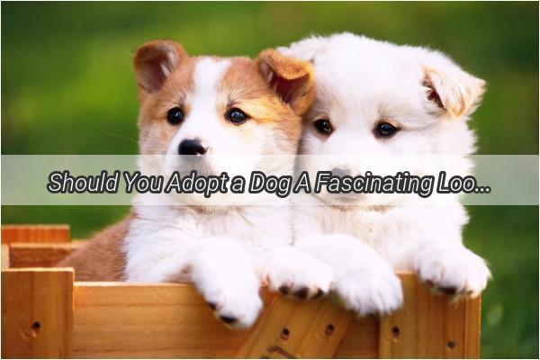 Should You Adopt a Dog A Fascinating Look at the Pros and Cons with a Furry Twist